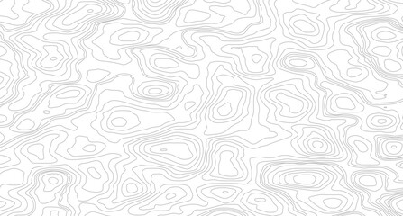Geography landscape Topo contour map on white background, Geographic mountain relief diagram line wave carve pattern. 
