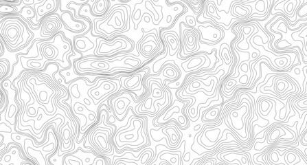 Geography landscape Topo contour map on white background, Topographic contour lines. Seamless pattern with lines Topographic map.