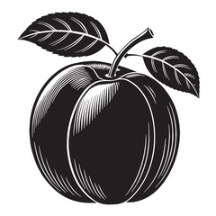 Black apricot fruit Silhouette Vector, High Quality Illustration on White Background