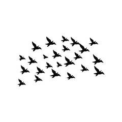 Obraz premium silhouette of a flock of pigeons on a white background