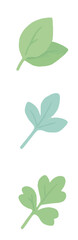 Flat design illustration of various leaves.