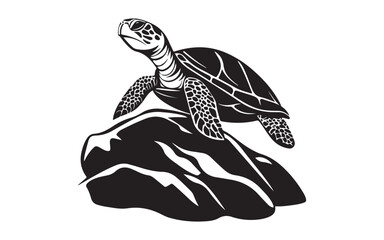 Obraz premium turtle on the beach