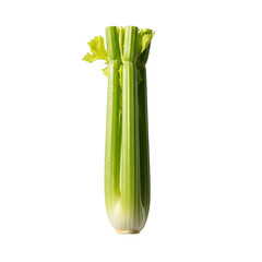 Fresh celery stalks, perfect for healthy eating and culinary use.