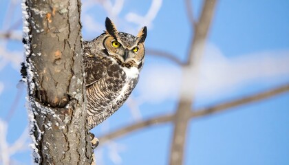 Owl perched on tree branch