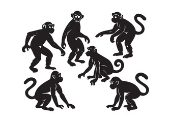Monkey Silhouette Vector Illustration Isolated on White Background, set