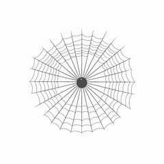 Fototapeta premium Intricate spiderweb design featuring radial lines and orb, a webbed silhouette