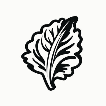Bold minimalist illustration of a lettuce leaf in black and white silhouette
