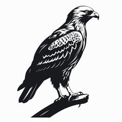 Fototapeta premium Majestic eagle resting on a branch vector illustration detailed black silhouette