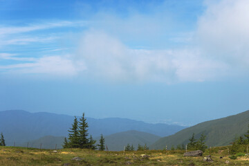 日本：美ヶ原高原／雲が浮かぶ夏の空【北八ヶ岳】長野県長和町・8月