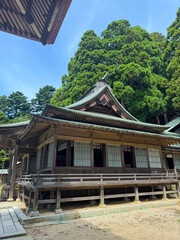 Japanese Shinto shrine with traditional torii gate