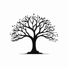 Obraz premium Elegant deciduous tree with leaves in simple graphic black silhouette