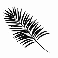 Obraz premium Striking dark palm frond art on a pristine white background silhouette