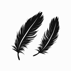Obraz premium Two monochrome feathers creating an elegant and minimalist vector art silhouette