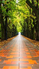Autumn Park Path Perspective