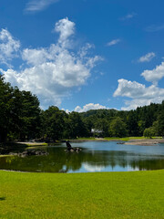 Beautiful Japanese landscape with mountains and forest