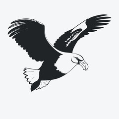 Majestic albatross soars freely, a captivating monochromatic artistic bird silhouette.