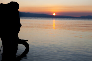 silhouette of a woman in the sunset