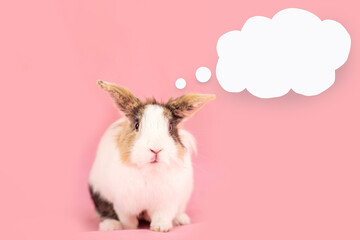 Funny rabbit with speech bubble on pink background for creative advertising concept