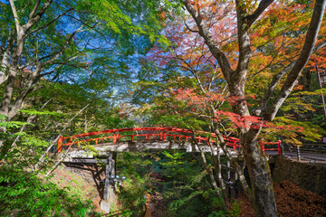 秋の伊香保温泉 河鹿橋　群馬県渋川市