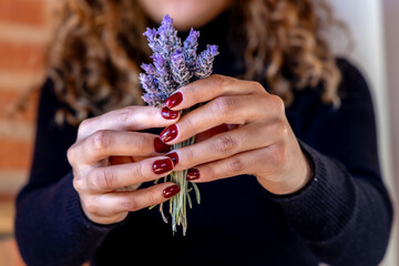 woman with beautiful red nails holding gently a bunch of lavender flower.