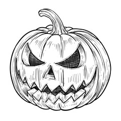 halloween pumpkin vector line art hand drawn illustration