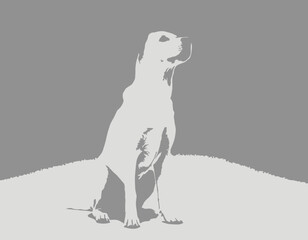 Dog Silhouette digital Art, Intricate Powerful and Ready for Print or Web, Sharp Details. Strong Identity. Timeless Design, Symbolize Strength, Courage, Logo, and Leadership 