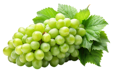 Fresh Green Grapes Bunch Isolated on Transparent PNG Background