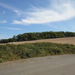 road in the countryside