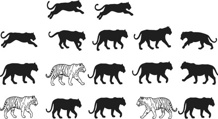 Tiger silhouettes collection, wild animal vector set, big cat design icons, jungle predator illustration, walking and running poses, wildlife nature artwork