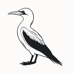 Fototapeta premium Elegant seabird drawing shows graceful form in graphic design illustration silhouette