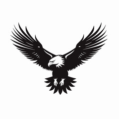 Obraz premium Majestic bird of prey is soaring, an eagle in dramatic flight silhouette