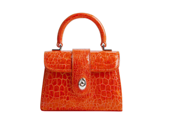 Handbag on a white background