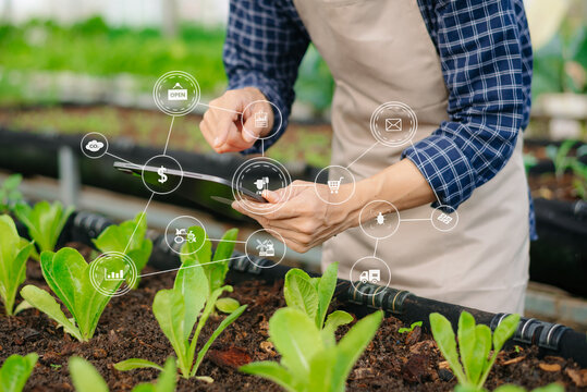 Farmers using digital technology and data analytics in greenhouses to optimize crop growth, showcasing innovation, sustainability, and precision agriculture.