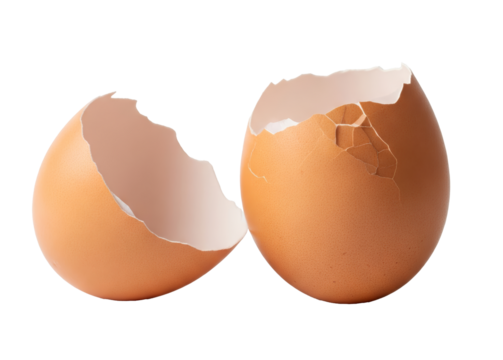 Two Cracked Egg Shell Halves with a Transparent Background png cutout transparent background - Powered by Adobe