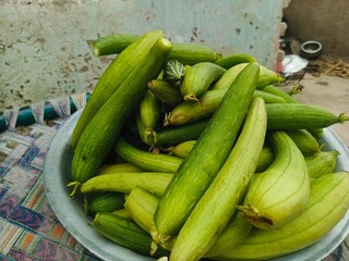 fresh green beans