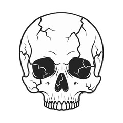 Cracked Human Skull Black and White Illustration.