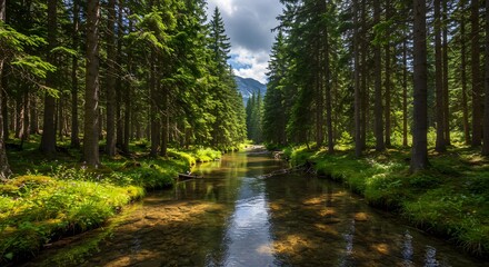 Obraz premium Forest stream through lush trees