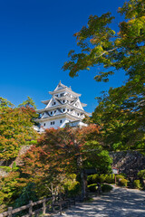 秋の郡上八幡城　岐阜県郡上市