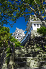 快晴の郡上八幡城天守と桜ノ丸隅櫓　岐阜県郡上市