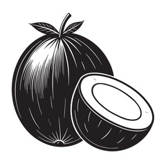 Obraz premium Black coconut Silhouette Vector, High Quality Illustration on White Background