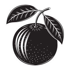 Black clementine Silhouette Vector, High Quality Illustration on White Background