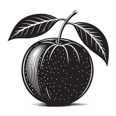 Black clementine Silhouette Vector, High Quality Illustration on White Background