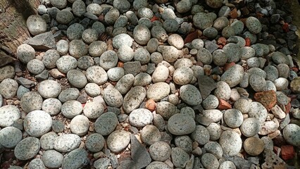 Natural Pebbles with Tree Shadows as a Natural Background