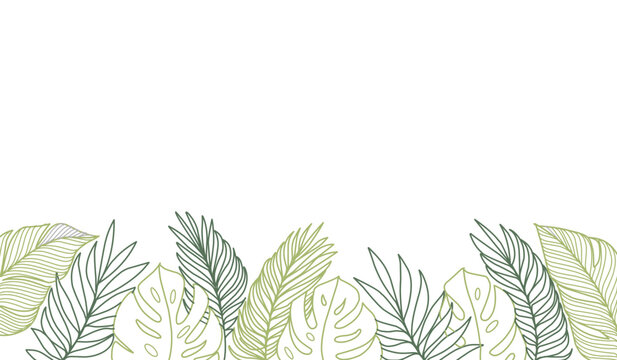 Tropical leaf line art wallpaper background vector. Design of natural Monstera leaves and banana leaves in a minimalist linear outline style. Design for print, cover, banner, decoration.