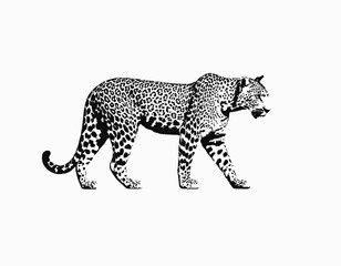 Leopard Silhouette digital Art, Intricate Powerful and Ready for Print or Web, Sharp Details. Strong Identity. Timeless Design, Symbolize Strength, Courage, Logo, and Leadership