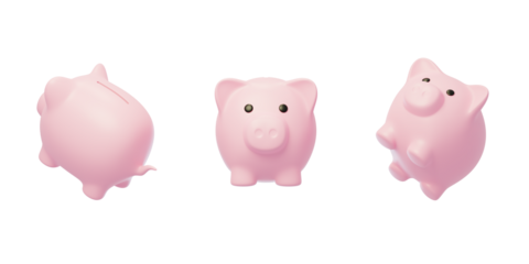 Financial bank Deposit Piggy Bank Wealth Management Pig 3D