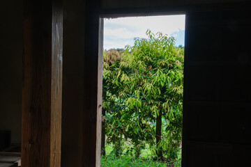 古民家の勝手口