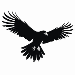 Obraz premium Dramatic bird spreads wings in flight, a striking raven silhouette