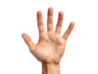 Open male hand palm up five fingers black background, Isolated On White Background, Png Transparent