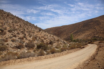 desertico paisaje